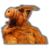 ALF (1986) 24