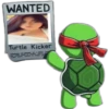 WANTED Turtle Kicker