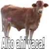 Dilo con animales (By Krys) 25