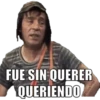 FUE SIN QUERER QUERIENDO