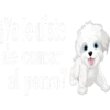 ¿Ya le diste
de comer
al perro?