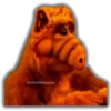 ALF (1986) 28