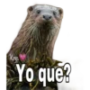 Dilo con animales (By Krys) 28