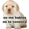 Perritos 2 6