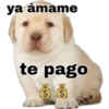 Perritos 2 7