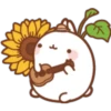^-^ Kawaii Rabbit ^-^ 6