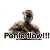 Ponle flow!!!