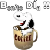 Bonito Dia !
CorfEE
Bellies