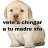 Perritos 2 8