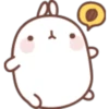 ^-^ Kawaii Rabbit ^-^ 7