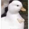 Застенчивый 9