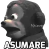 MADELYM
ASUMARE