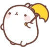 Y