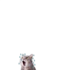 Adesivos em miniatura 13