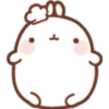 ^-^ Kawaii Rabbit ^-^ 11