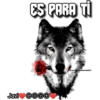 ES PARA TI
Javi DODO