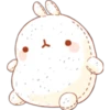 ^-^ Kawaii Rabbit ^-^ 13