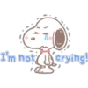 Snoopy 22