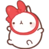 Y