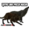 ENTRO UNA PRESA NUEVA
IL
Javi DO ⒸO