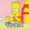 Simpson II 24