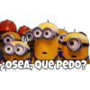 Bibi
LOSEA, QUE PEDO?