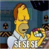 Simpson II 26