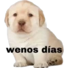 Perritos 2 11