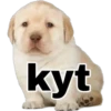 Perritos 2 12