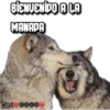 BIENVENIDO A LA
MANADA
Javi DOOⒸ