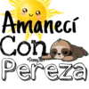 Amanecí 18