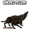 QUIERES PELEAR
Javi DOCⒸ