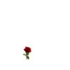 Adesivos em miniatura 28