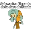 Calamarino Elegante
de la clase de banda
8
