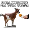 CABRA QUE DARLES
UNA BUENA LECCIÓN