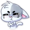 ️Gatito White 5