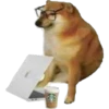 Perros Memes 5