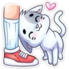 ️Gatito White 6