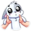 ️Gatito White 8