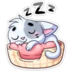 ️Gatito White 9