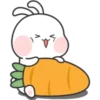 Cute Bunny 1 5