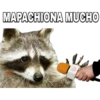 MAPACHIONA MUCHO