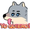16
YO QUIERO!