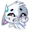 ️Gatito White 10