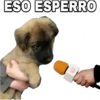 ESO ESPERRO