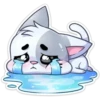 ️Gatito White 11