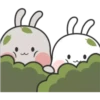 Cute Bunny 1 6