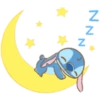 NN