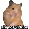 HÁMSTERS 5