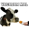 VACABAR MAL